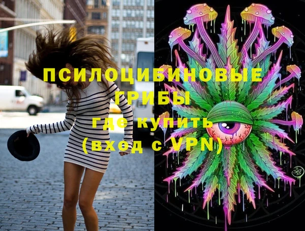 ПСИЛОЦИБИНОВЫЕ ГРИБЫ Алзамай