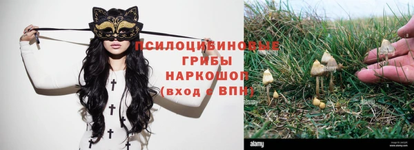 герыч Алексин