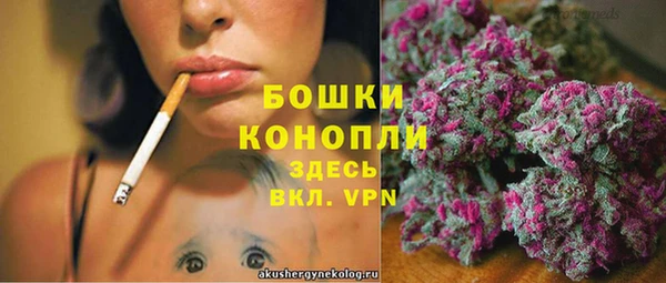 ПСИЛОЦИБИНОВЫЕ ГРИБЫ Алзамай