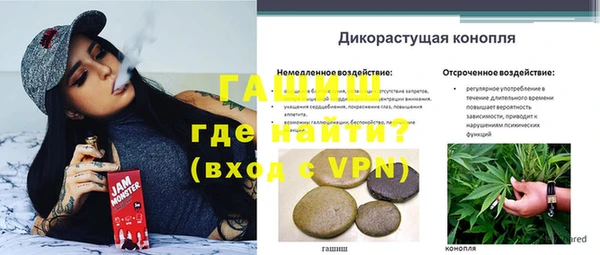 герыч Алексин