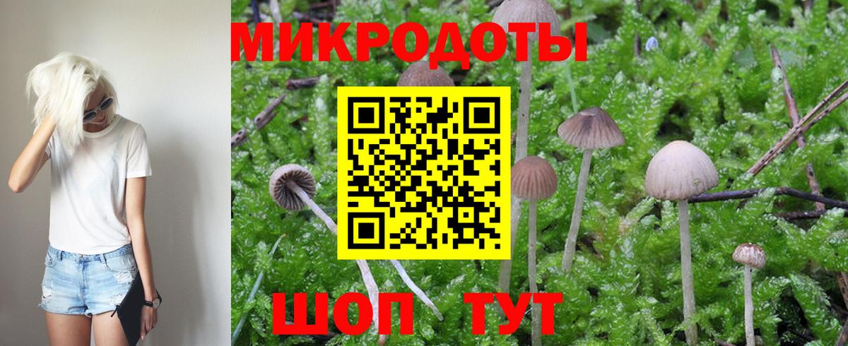 Галлюциногенные грибы ЛСД Аргун